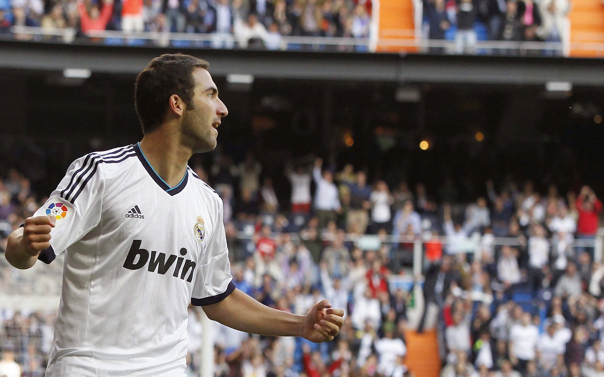 美洲杯燃爆赛场：绝美配合成就传奇瞬间，美洲杯 百科